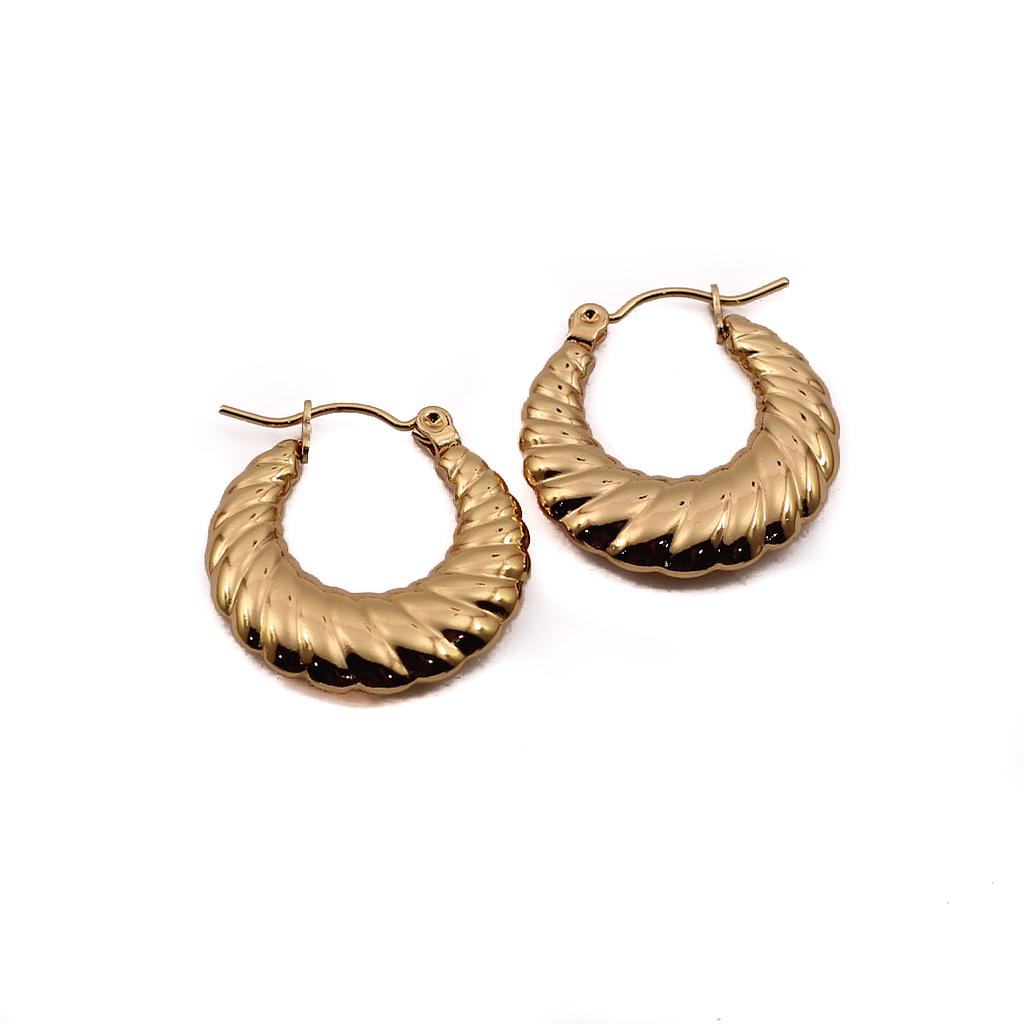 AR22502 Arracada Acero dorada caracol