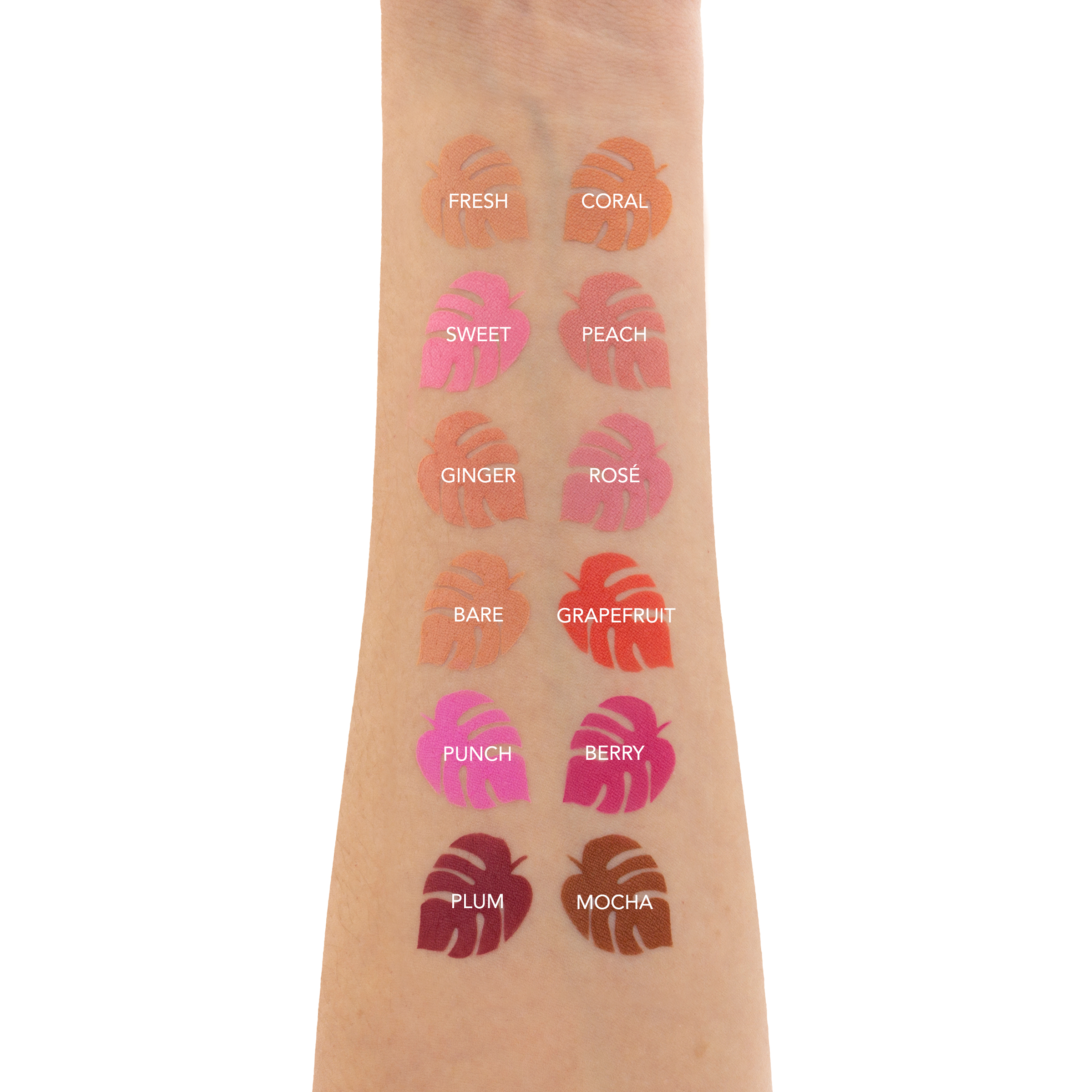 181151 Rubor en Polvo Flush Blush